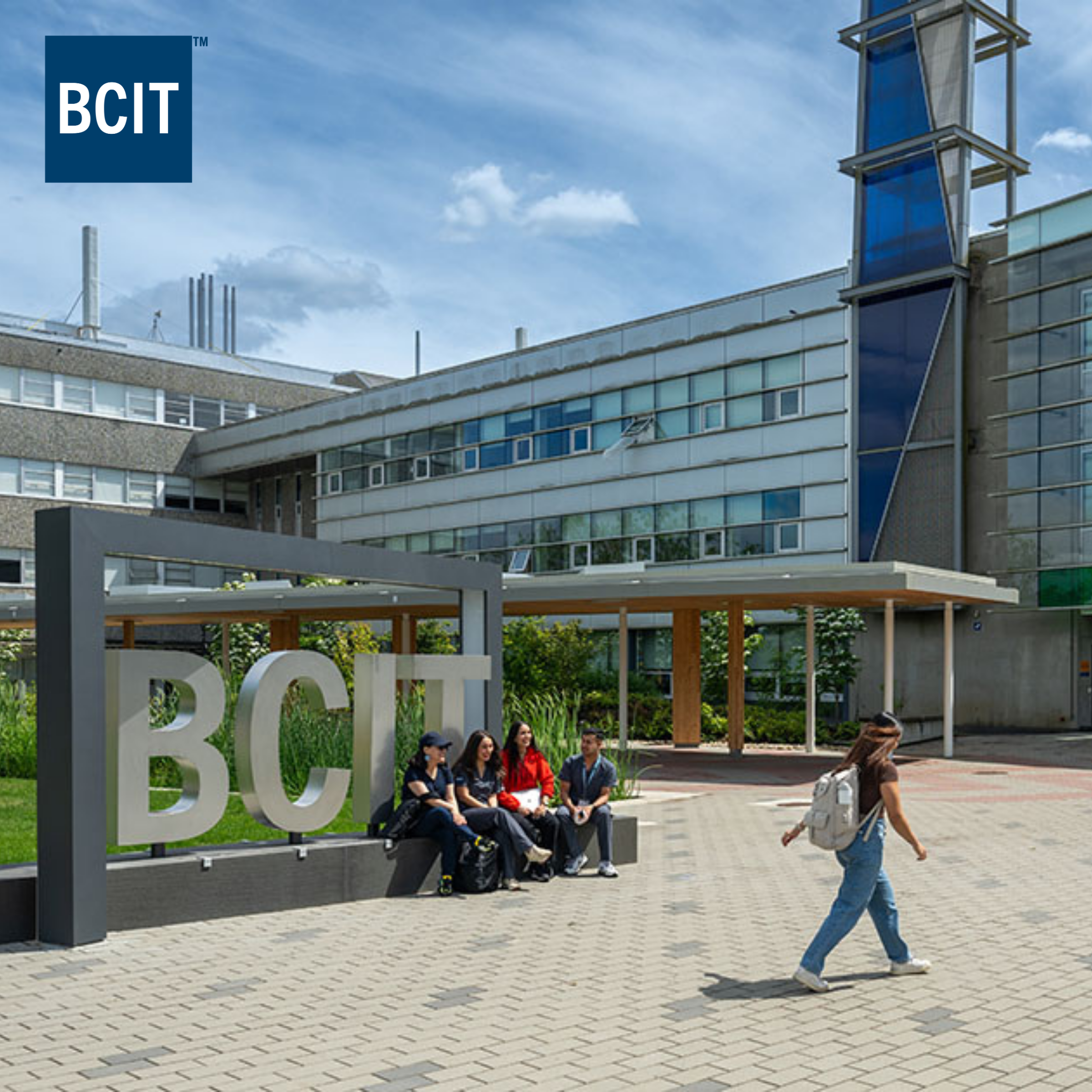 How the BCIT team generates $23m in revenue with search