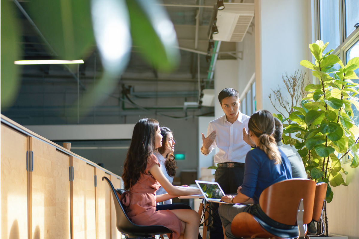 Colleagues in a bright, modern open-plan office having a discussion, with one person standing and gesturing while three others sit around a small table with a laptop, beside a large leafy plant.
