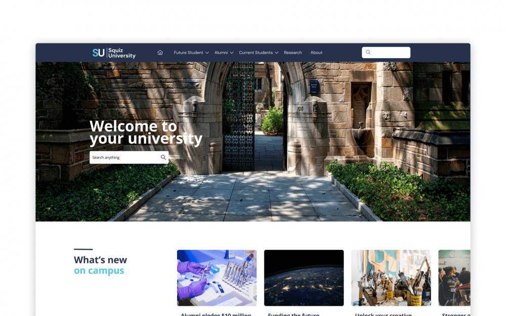 University website