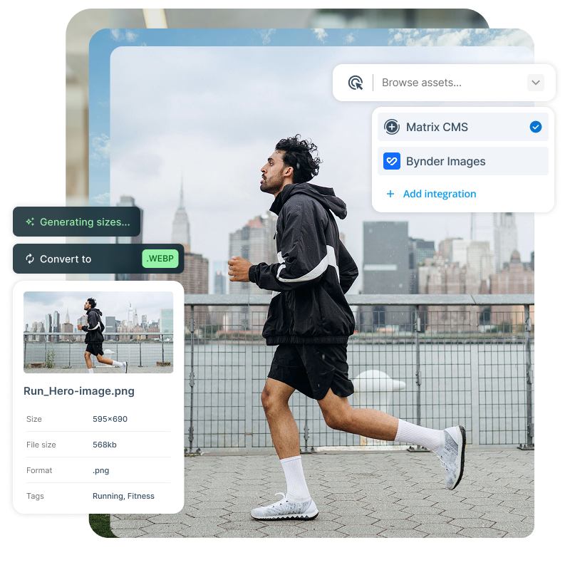 Image showing Squiz  Digital Asset Management (DAM) tool